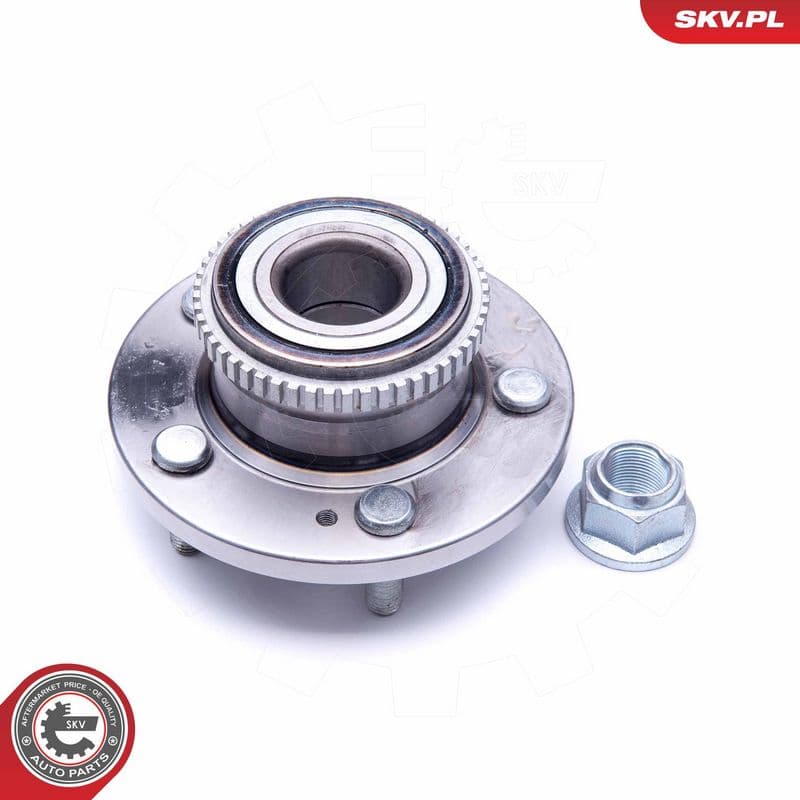 Set rulment roata ESEN SKV 29SKV203