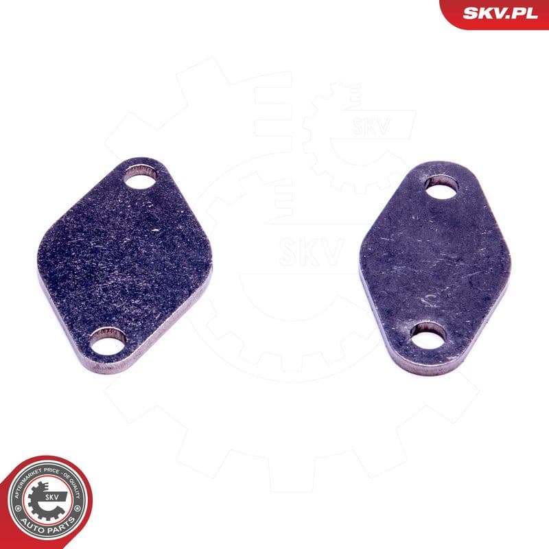 Set de reparație, supapă AGR ESEN SKV 14SKV529