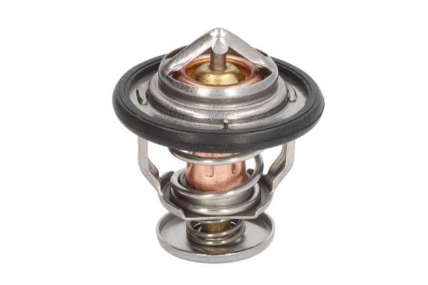 termostat,lichid racire THERMOTEC D2AG018TT