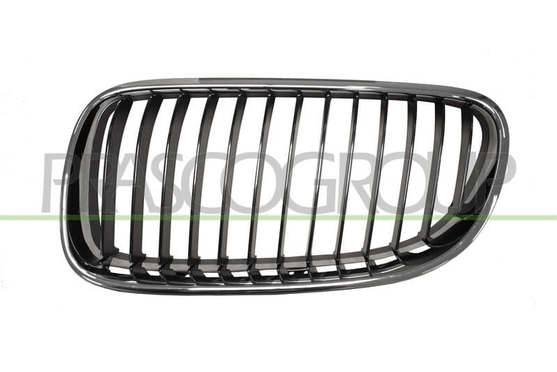 Grila radiator PRASCO BM0252044
