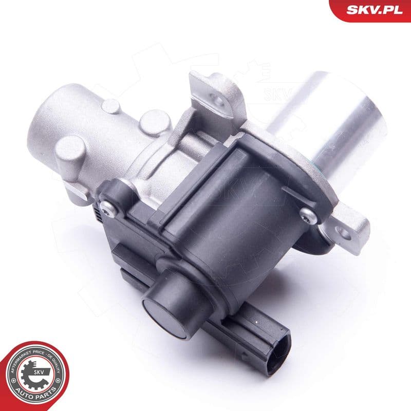 Supapa EGR ESEN SKV 14SKV163