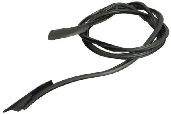 Elemente decorative/protectie, parbriz BLIC 5703-04-6037570Q