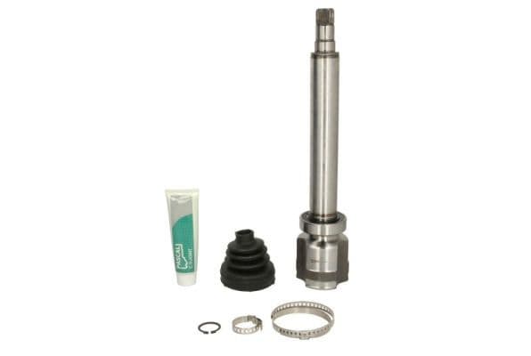 Set articulatie, planetara PASCAL G8B014PC