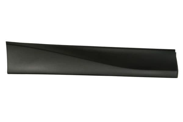 Elemente decorative/protectie, portiera BLIC 5703-02-6738494P
