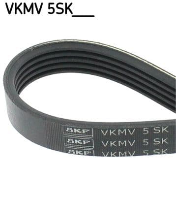 Curea transmisie cu caneluri SKF VKMV 5SK748