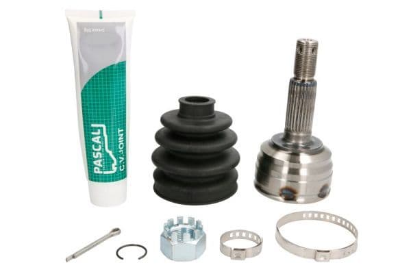 Set articulatie, planetara PASCAL G16017PC