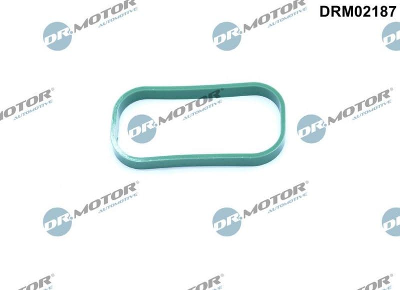 Garnitura, galerie admisie Dr.Motor Automotive DRM02187