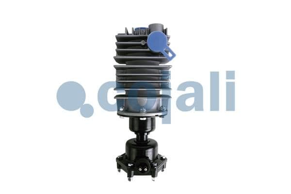 filtru aer, compressor COJALI 2480005