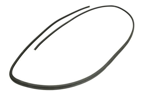 Garnitura, parbriz BLIC 5703-04-6037406Q