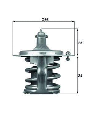 termostat,lichid racire MAHLE BEHR TX 79 78D