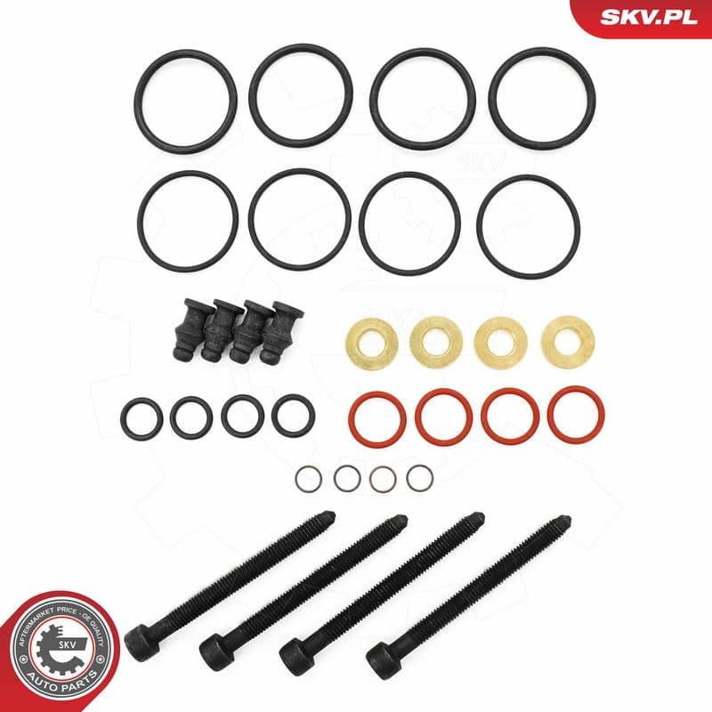 chit reparatie,unitate pompa-diuza ESEN SKV 53SKV187