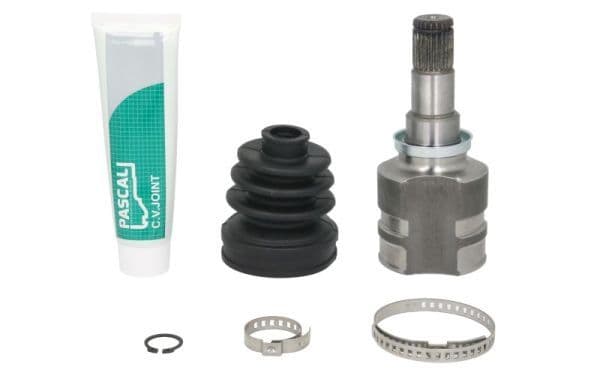 Set articulatie, planetara PASCAL G72011PC