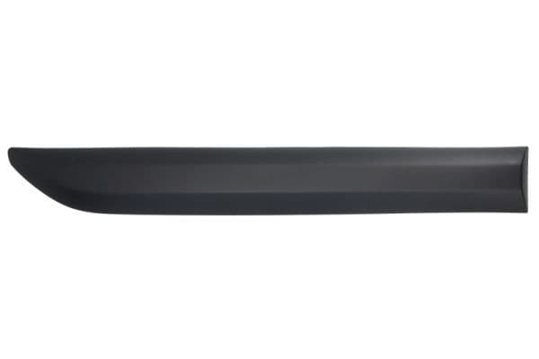 Elemente decorative/protectie, portiera BLIC 5703-04-0559575P