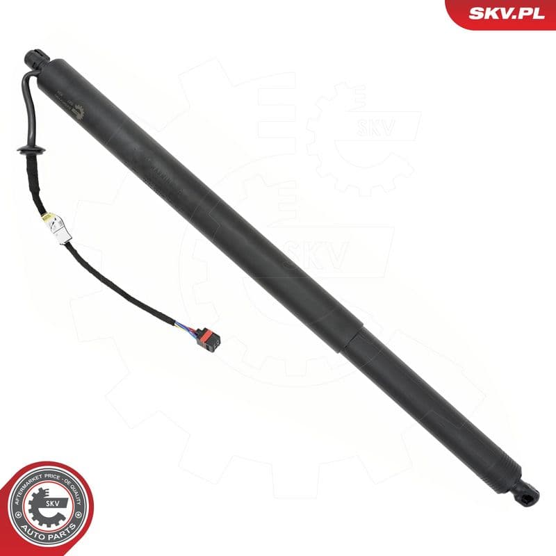 Motor electric, haion ESEN SKV 52SKV190