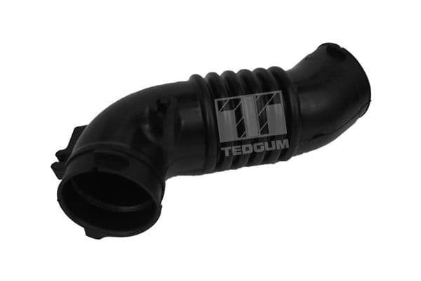 Palnie, filtru de aer TEDGUM 00392218