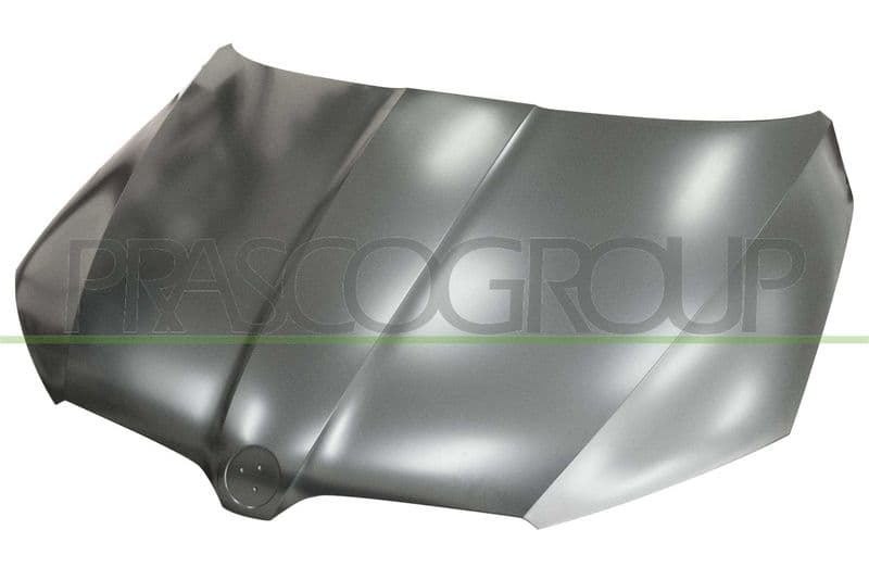 Capota motor PRASCO SK0303100