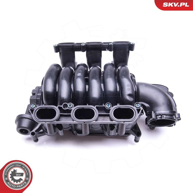 Modul conducta admisie ESEN SKV 49SKV004