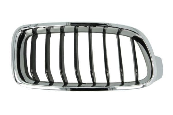 Grila radiator BLIC 6502-07-0063996P