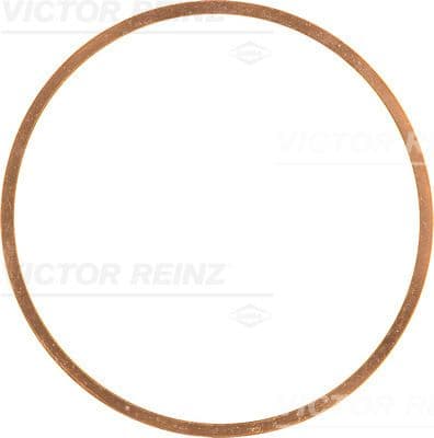 Garnitura, chiulasa REINZ 41-70463-10