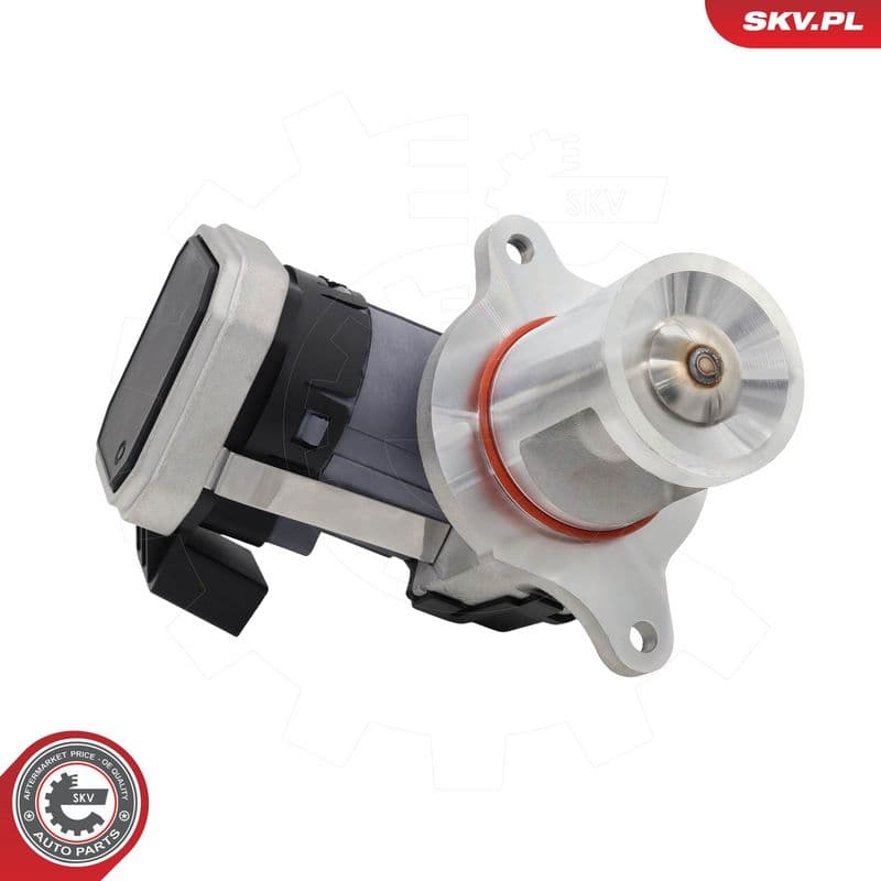 Supapa EGR ESEN SKV 14SKV306