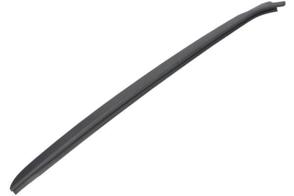 Elemente decorative/protectie, parbriz BLIC 5703-04-6037163Q