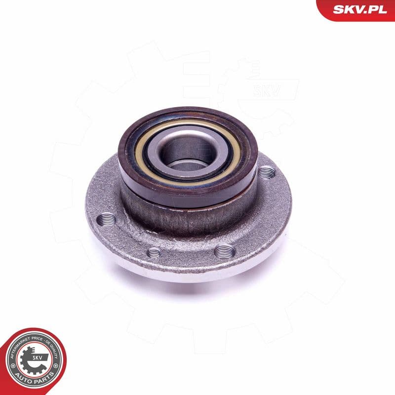 Set rulment roata ESEN SKV 29SKV419