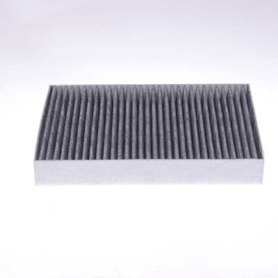 Filtru, aer habitaclu MTR 12138400
