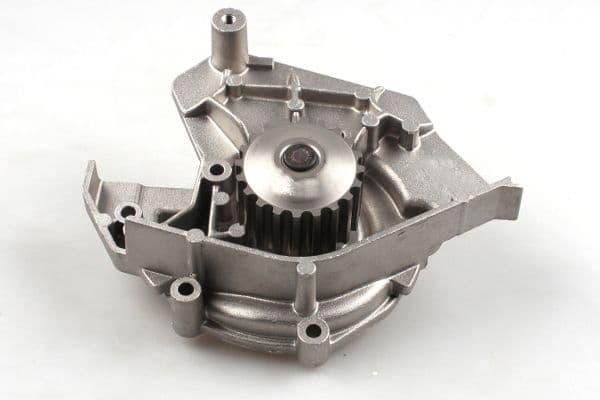 Pompă de apă, răcire motor HEPU P843