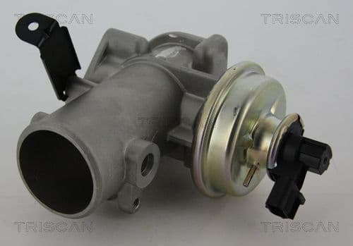 Supapa EGR TRISCAN 8813 16200