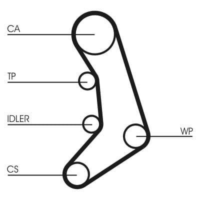 Curea de distributie CONTINENTAL CTAM CT758