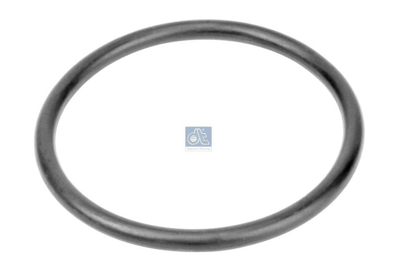 Garnitura, pompa de apa DT Spare Parts 6.30062