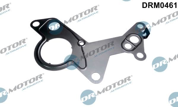 Garnitura, pompa vacuum Dr.Motor Automotive DRM0461