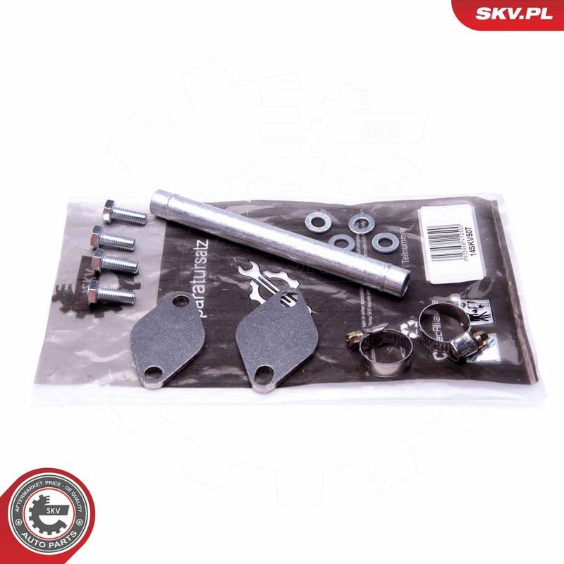 Set de reparație, supapă AGR ESEN SKV 14SKV507