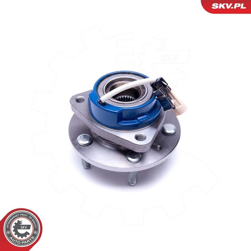 Set rulment roata ESEN SKV 29SKV350
