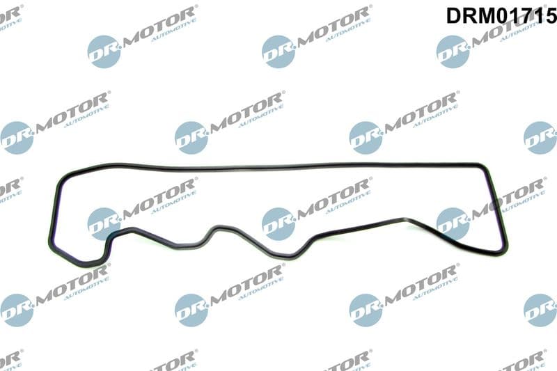 Garnitura, capac supape Dr.Motor Automotive DRM01715