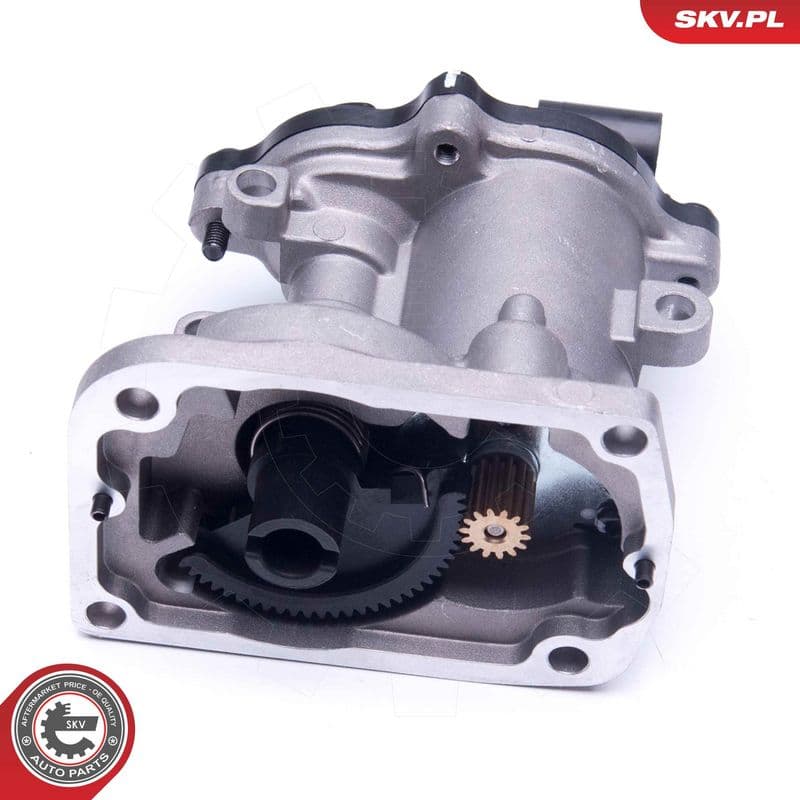 Supapa EGR ESEN SKV 14SKV160