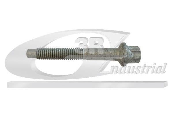 Surub, suport injector 3RG 86270