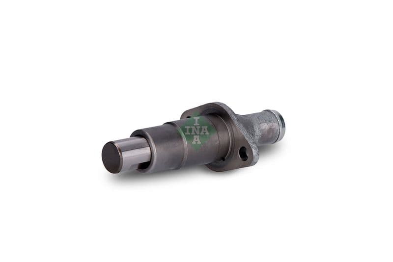 intinzator,lant distributie Schaeffler INA 551 0069 10
