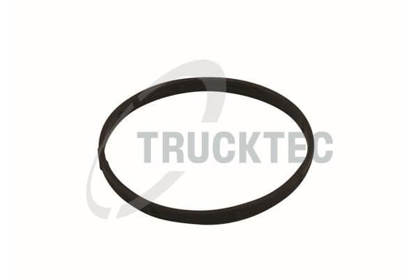 Garnitura, Carcasa galerie admisie TRUCKTEC AUTOMOTIVE 02.14.174