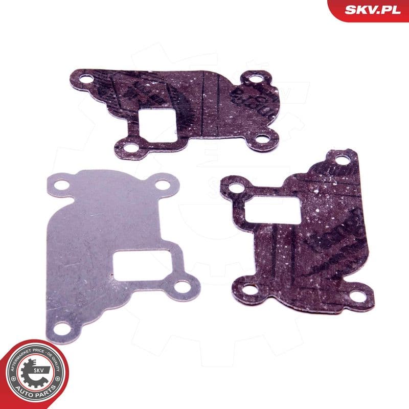Set de reparație, supapă AGR ESEN SKV 14SKV527