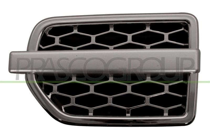 Elemente decorative/protectie, aripa BLIC LR0321404