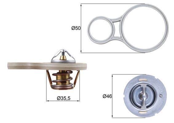 termostat,lichid racire MAHLE BEHR TX 255 91