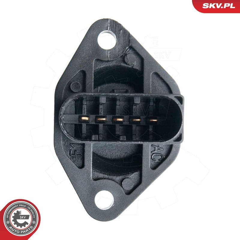 senzor debit aer ESEN SKV 07SKV505