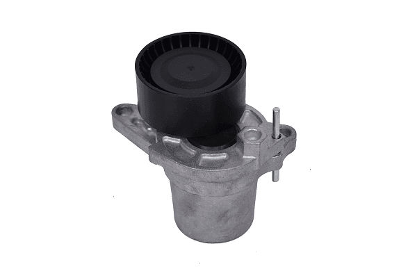 intinzator,curea transmisie ASAM AUTOMOTIVE 101309