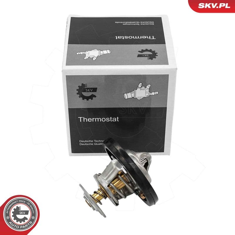 termostat,lichid racire ESEN SKV 20SKV262