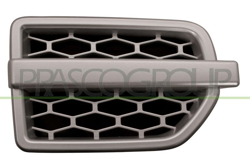 Elemente decorative/protectie, aripa BLIC LR0321423