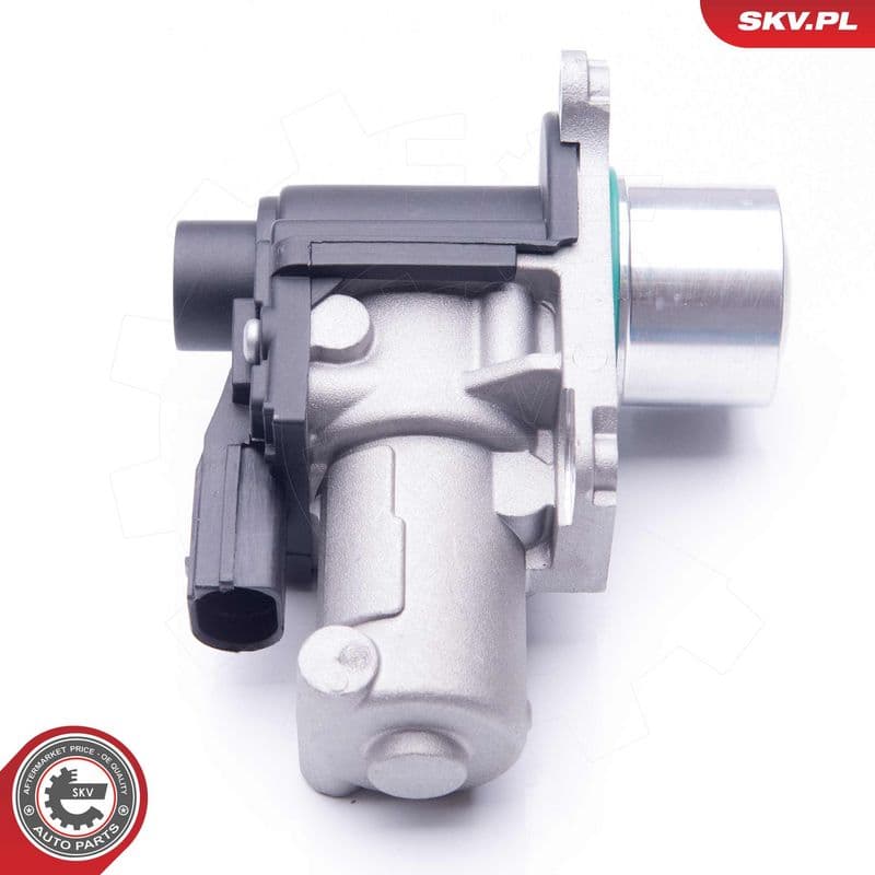 Supapa EGR ESEN SKV 14SKV170