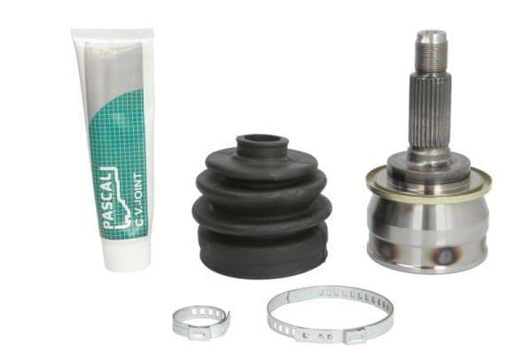Set articulatie, planetara PASCAL G17018PC
