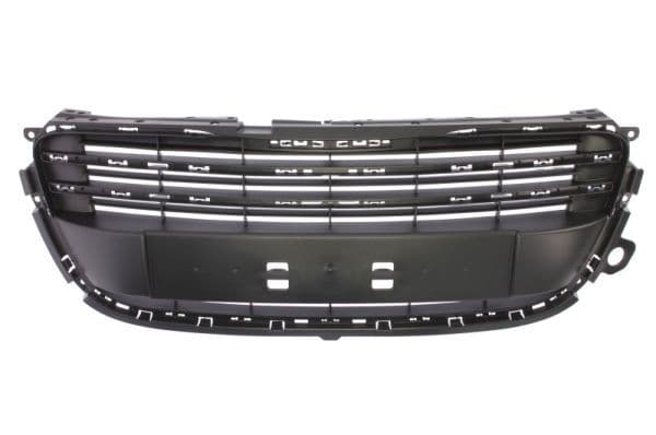 Grila radiator BLIC 6502-07-5527990Q