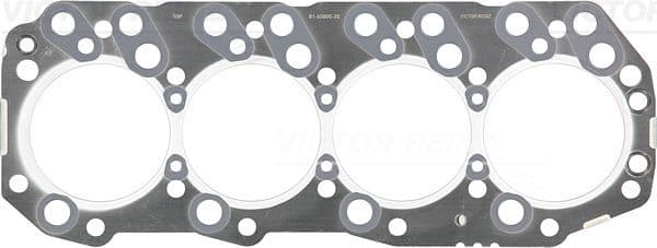 Garnitura, chiulasa REINZ 61-53900-20
